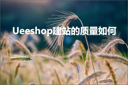 跨境电商知识:Ueeshop建站的质量如何+